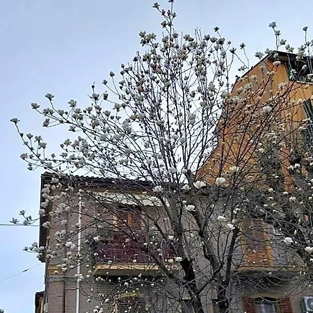 Guest house Calvart25 Bologna