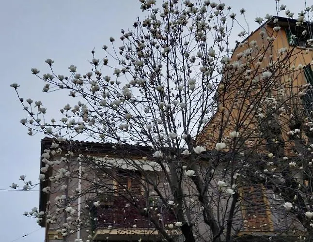 Calvart25 בית הארחה 3*